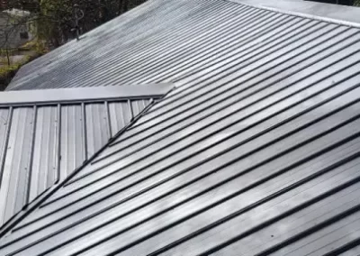 Local Roofing Expert