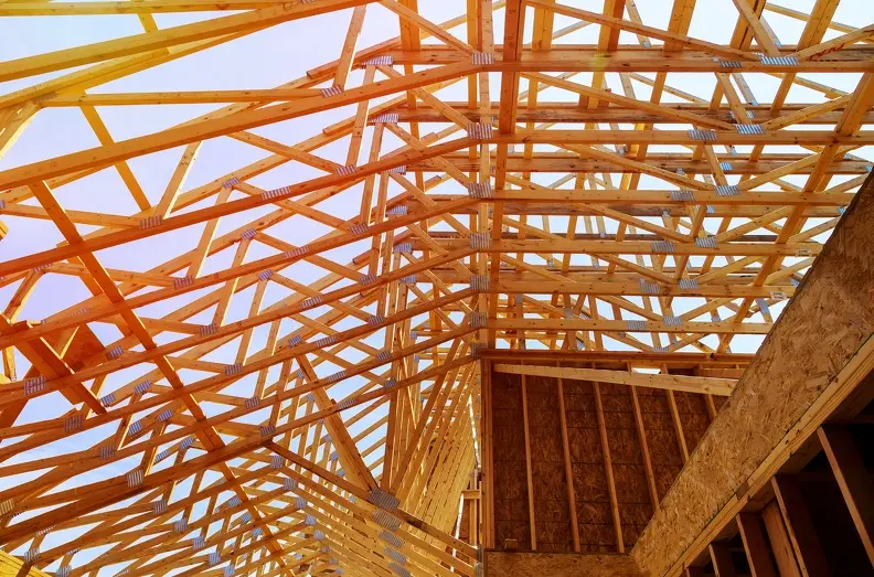 Professional Roofing Services Blackshear GA